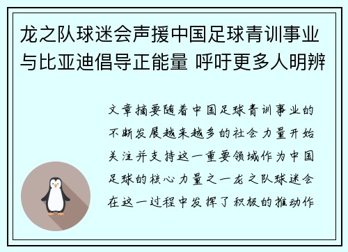 龙之队球迷会声援中国足球青训事业与比亚迪倡导正能量 呼吁更多人明辨是非