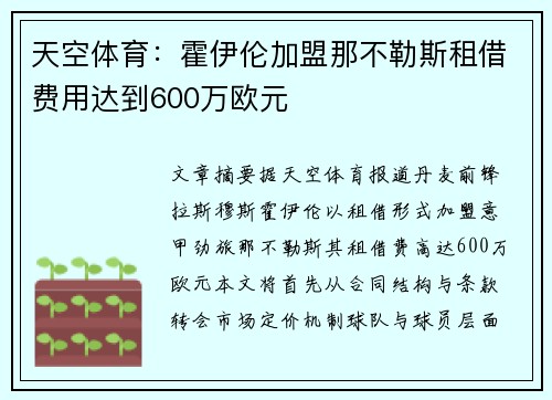 天空体育：霍伊伦加盟那不勒斯租借费用达到600万欧元